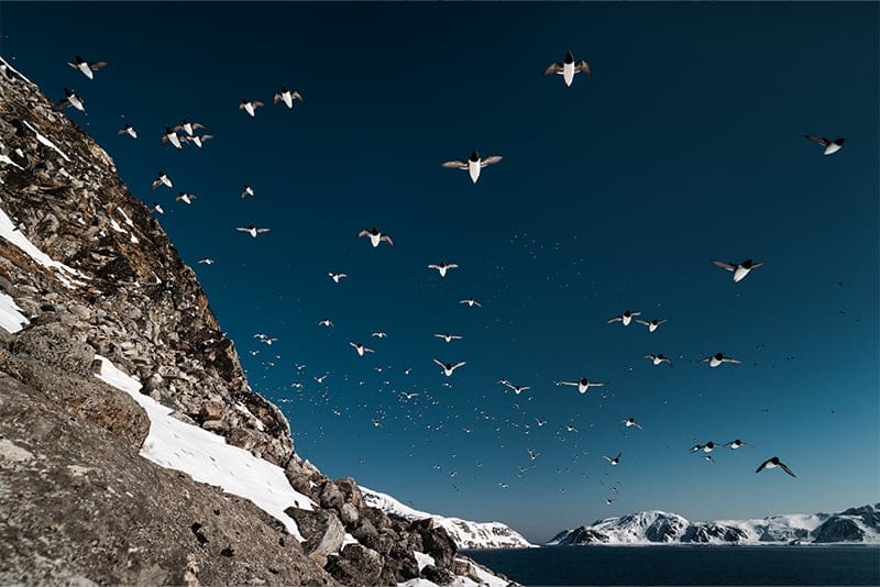 Field Note 2 - The edge of the Artic - Gallery 4