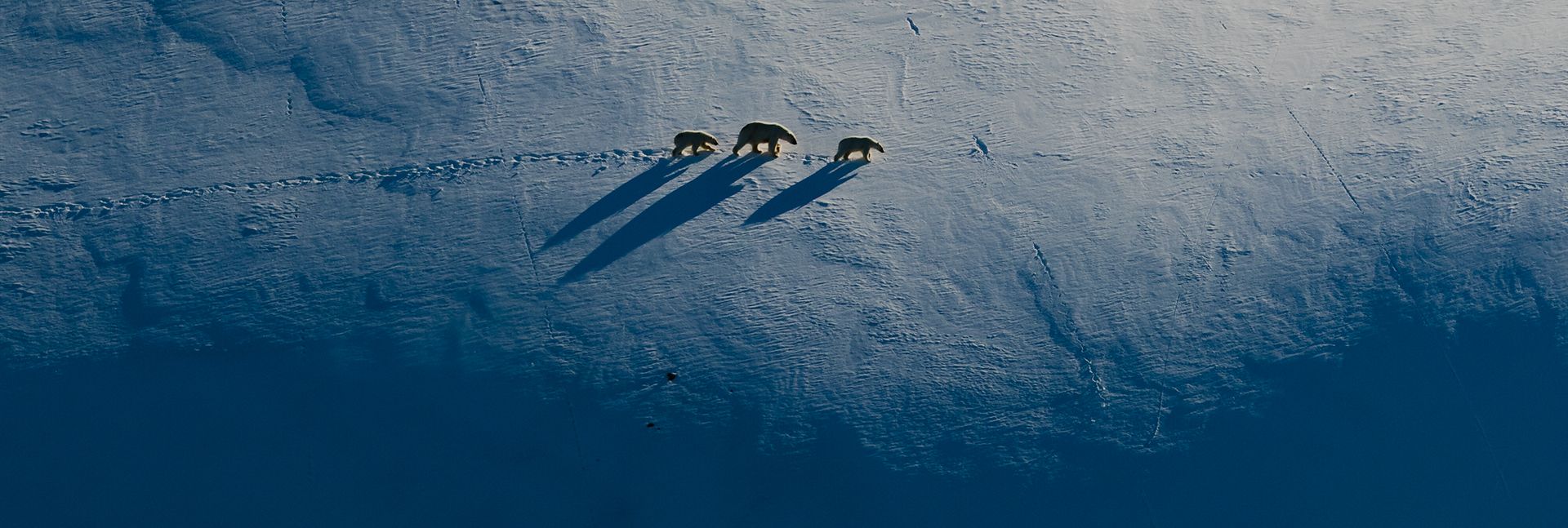 Field Note 2 - The edge of the Artic