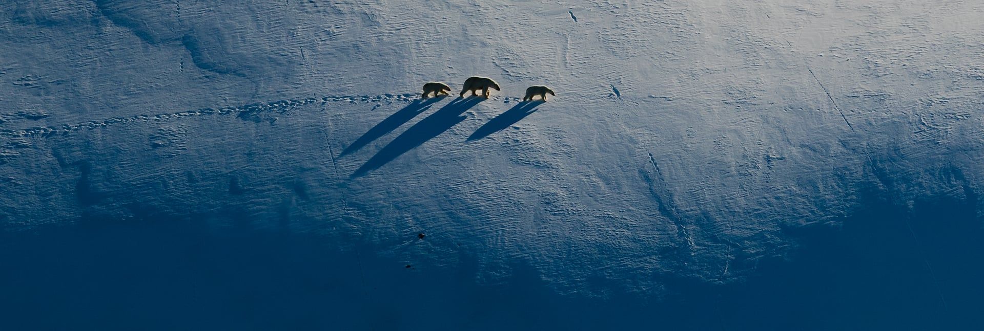 Field Note 2 - The edge of the Artic - Desktop