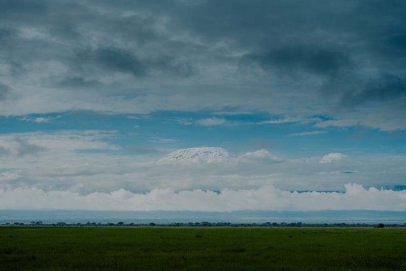 Field Note 1 - In Search of Mtito - Image Slider 3