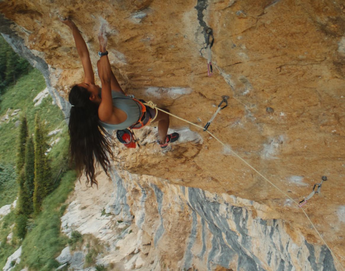 Field Note 5 - Teresa Corti: The Shape of the Swiss Alps - Episode 2 - Desktop